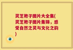 灵芝袍子图片大全集(灵芝袍子图片集锦，感受自然之灵与文化之韵)