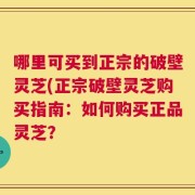 哪里可买到正宗的破壁灵芝(正宗破壁灵芝购买指南：如何购买正品灵芝？