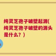 纯灵芝孢子破壁起源(纯灵芝孢子破壁的源头是什么？)