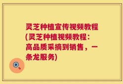 灵芝种植宣传视频教程(灵芝种植视频教程：高品质采摘到销售，一条龙服务)
