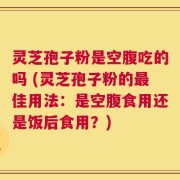灵芝孢子粉是空腹吃的吗 (灵芝孢子粉的最佳用法：是空腹食用还是饭后食用？)