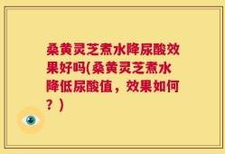 桑黄灵芝煮水降尿酸效果好吗(桑黄灵芝煮水降低尿酸值，效果如何？)