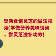 煲汤食谱灵芝的做法视频(学做营养美味煲汤，尝灵芝滋补功效)