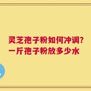 灵芝孢子粉如何冲调？一斤孢子粉放多少水