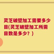 灵芝破壁加工需要多少目(灵芝破壁加工所需目数是多少？)