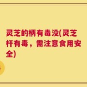 灵芝的柄有毒没(灵芝杆有毒，需注意食用安全)