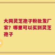 大同灵芝孢子粉批发厂家？哪里可以买到灵芝孢子