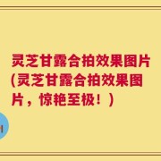 灵芝甘露合拍效果图片(灵芝甘露合拍效果图片，惊艳至极！)