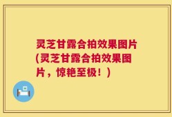 灵芝甘露合拍效果图片(灵芝甘露合拍效果图片，惊艳至极！)