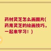 药材灵芝怎么画图片(药用灵芝的绘画技巧，一起来学习！)