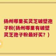 扬州哪里买灵芝破壁孢子粉(扬州哪里有破壁灵芝孢子粉最好买？)