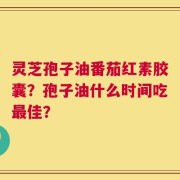灵芝孢子油番茄红素胶囊？孢子油什么时间吃最佳？