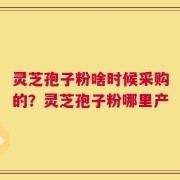 灵芝孢子粉啥时候采购的？灵芝孢子粉哪里产