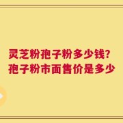 灵芝粉孢子粉多少钱？孢子粉市面售价是多少