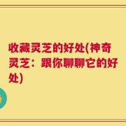 收藏灵芝的好处(神奇灵芝：跟你聊聊它的好处)