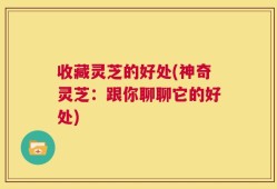 收藏灵芝的好处(神奇灵芝：跟你聊聊它的好处)