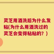 灵芝用酒洗后为什么发粘(为什么用酒洗过的灵芝会变得粘粘的？)