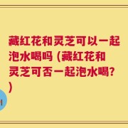 藏红花和灵芝可以一起泡水喝吗 (藏红花和灵芝可否一起泡水喝？)