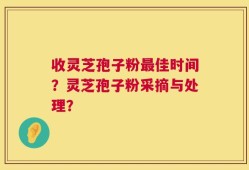 收灵芝孢子粉最佳时间？灵芝孢子粉采摘与处理？