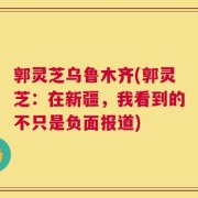 郭灵芝乌鲁木齐(郭灵芝：在新疆，我看到的不只是负面报道)