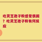 吃灵芝孢子粉感觉很困？吃灵芝孢子粉有何反应