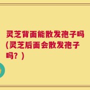 灵芝背面能散发孢子吗(灵芝后面会散发孢子吗？)