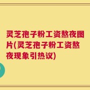 灵芝孢子粉工资熬夜图片(灵芝孢子粉工资熬夜现象引热议)