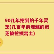 90几年挖到的千年灵芝(几百年前埋藏的灵芝被挖掘出土)