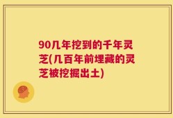 90几年挖到的千年灵芝(几百年前埋藏的灵芝被挖掘出土)
