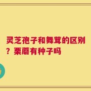 灵芝孢子和舞茸的区别？栗蘑有种子吗