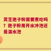 灵芝孢子粉需要煮吃吗？孢子粉用开水冲泡还是温水泡