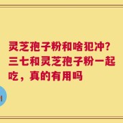 灵芝孢子粉和啥犯冲？三七和灵芝孢子粉一起吃，真的有用吗