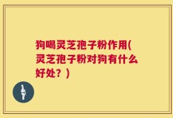 狗喝灵芝孢子粉作用(灵芝孢子粉对狗有什么好处？)