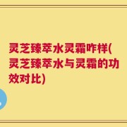 灵芝臻萃水灵霜咋样(灵芝臻萃水与灵霜的功效对比)