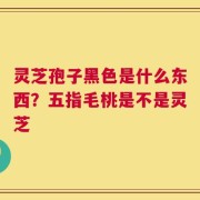 灵芝孢子黑色是什么东西？五指毛桃是不是灵芝