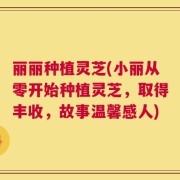 丽丽种植灵芝(小丽从零开始种植灵芝，取得丰收，故事温馨感人)