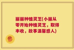 丽丽种植灵芝(小丽从零开始种植灵芝，取得丰收，故事温馨感人)