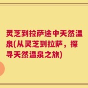 灵芝到拉萨途中天然温泉(从灵芝到拉萨，探寻天然温泉之旅)