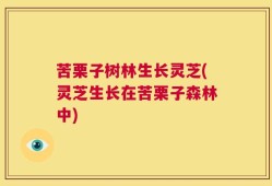 苦栗子树林生长灵芝(灵芝生长在苦栗子森林中)