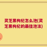 灵芝黑枸杞怎么泡(灵芝黑枸杞的最佳泡法)
