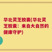 华北灵芝胶囊(华北灵芝胶囊：来自大自然的健康守护)