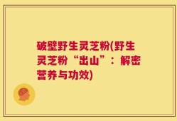 破壁野生灵芝粉(野生灵芝粉“出山”：解密营养与功效)