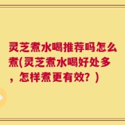 灵芝煮水喝推荐吗怎么煮(灵芝煮水喝好处多，怎样煮更有效？)