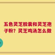 五色灵芝胶囊和灵芝孢子粉？灵芝鸡汤怎么做