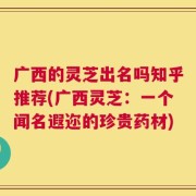 广西的灵芝出名吗知乎推荐(广西灵芝：一个闻名遐迩的珍贵药材)