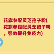 花旗参配灵芝孢子粉(花旗参搭配灵芝孢子粉，强效提升免疫力)