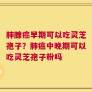 肺腺癌早期可以吃灵芝孢子？肺癌中晚期可以吃灵芝孢子粉吗