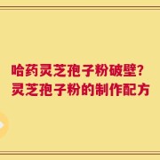 哈药灵芝孢子粉破壁？灵芝孢子粉的制作配方
