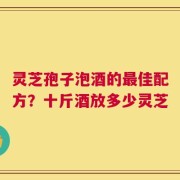 灵芝孢子泡酒的最佳配方？十斤酒放多少灵芝