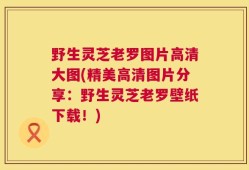 野生灵芝老罗图片高清大图(精美高清图片分享：野生灵芝老罗壁纸下载！)